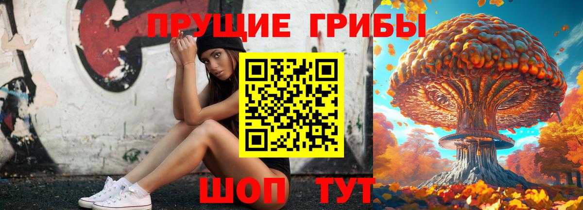 Псилоцибиновые грибы MAGIC MUSHROOMS  Вход с VPN  Екатеринбург 